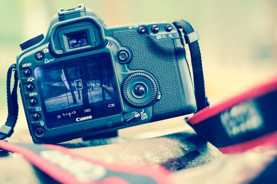 Imagen de Formatos RAW y JPEG: diferencias para edición y archivo