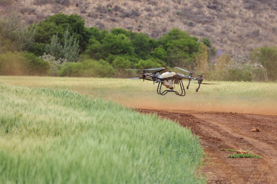 Dron para agricultura de precisión
