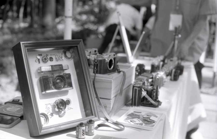camaras analogicas vintage pelicula blanco negro 2 Cámaras analógicas vintage y película en blanco y negro